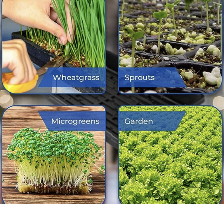 Plastic Seed Starter Tray "Plant Propagation Tray"