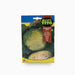 Col Repollo Brunswick-Tenta – Fito Seeds