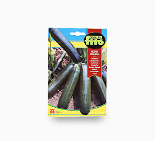 Summer Squash Negro Belleza 10g – Fito