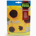 Sunflower Seeds 110mg – Fito