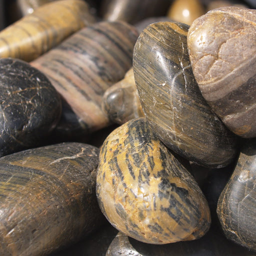 Tiger Polished Pebbles