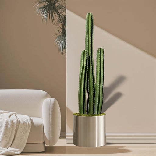Cactus San Pedro
