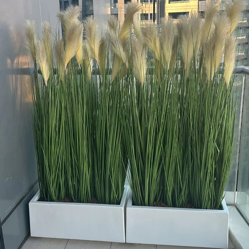 Artificial Pampas Grass With GRP Rectangle Pots