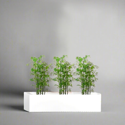 Bamboo Multiplex