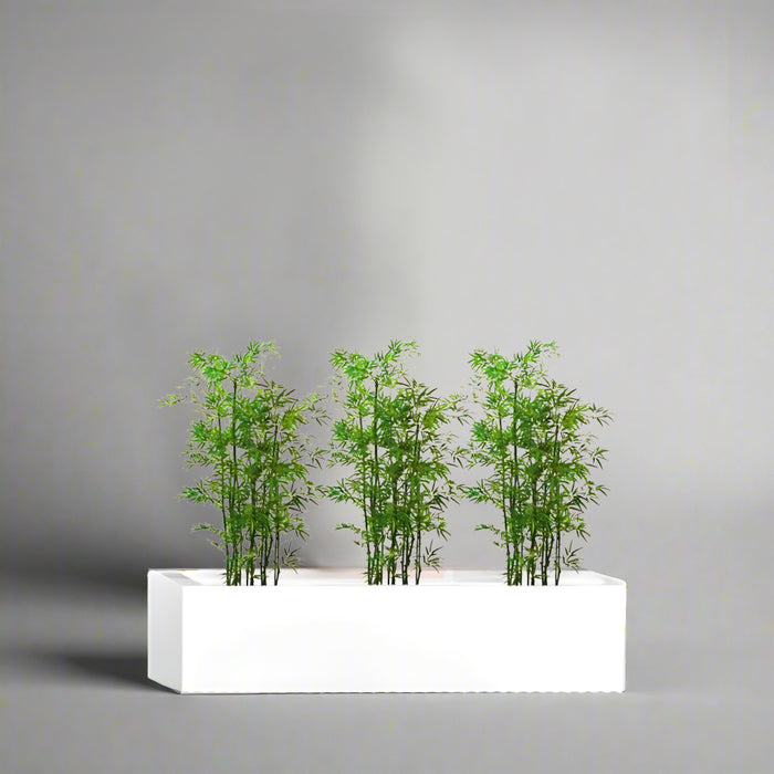 Bamboo Multiplex