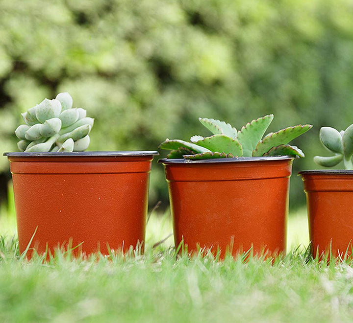 Yardwe 100 Pcs Plastic Planter Container