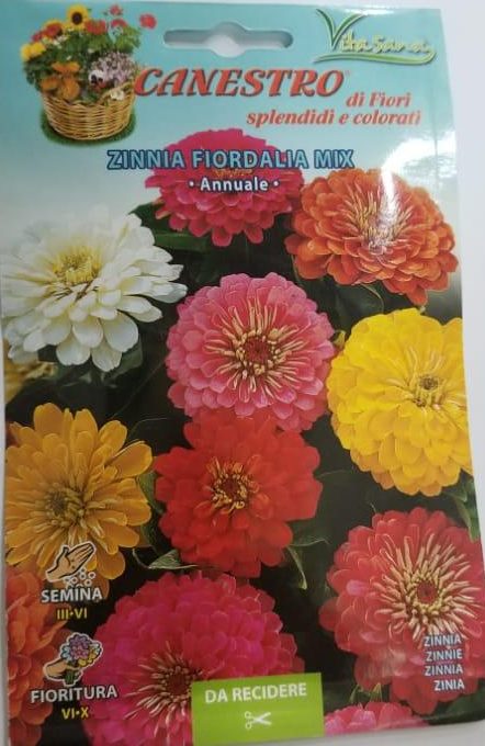 Zinnia Fiordalia Mix Seed by CANESTRO Green Souq