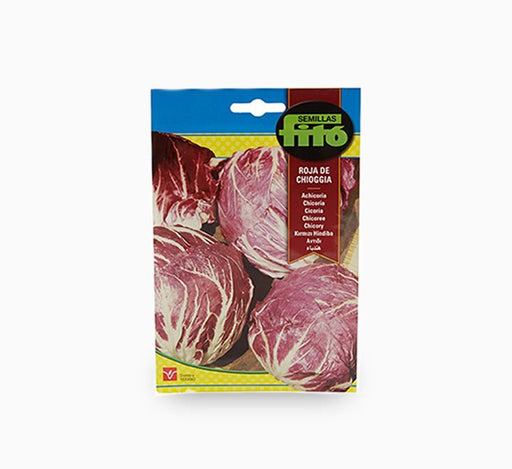 Achicoria Roja de Chioggia Seeds - Fito - Greensouq - 