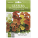 African Daisy "Gerbera Gigante Doppia In Mix" Premium Quality Seeds by Hortus Sementi - Greensouq - 