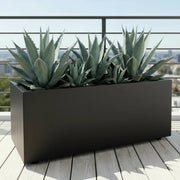 Agave Americana in white Grp Pot 90x30x30 - Greensouq - 
