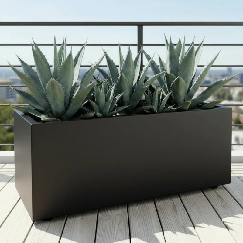 Agave Americana in white Grp Pot 90x30x30 - Greensouq - 