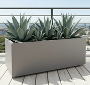 Agave Americana in white Grp Pot 90x30x30 - Greensouq - 