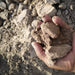 Agricultural Clay | Garden soil | Clay Soil Bag التربته الطينيته - Greensouq - 