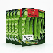 Agrimax Armenian Cucumber Seeds | UAE Garden Essentials! - Greensouq - 