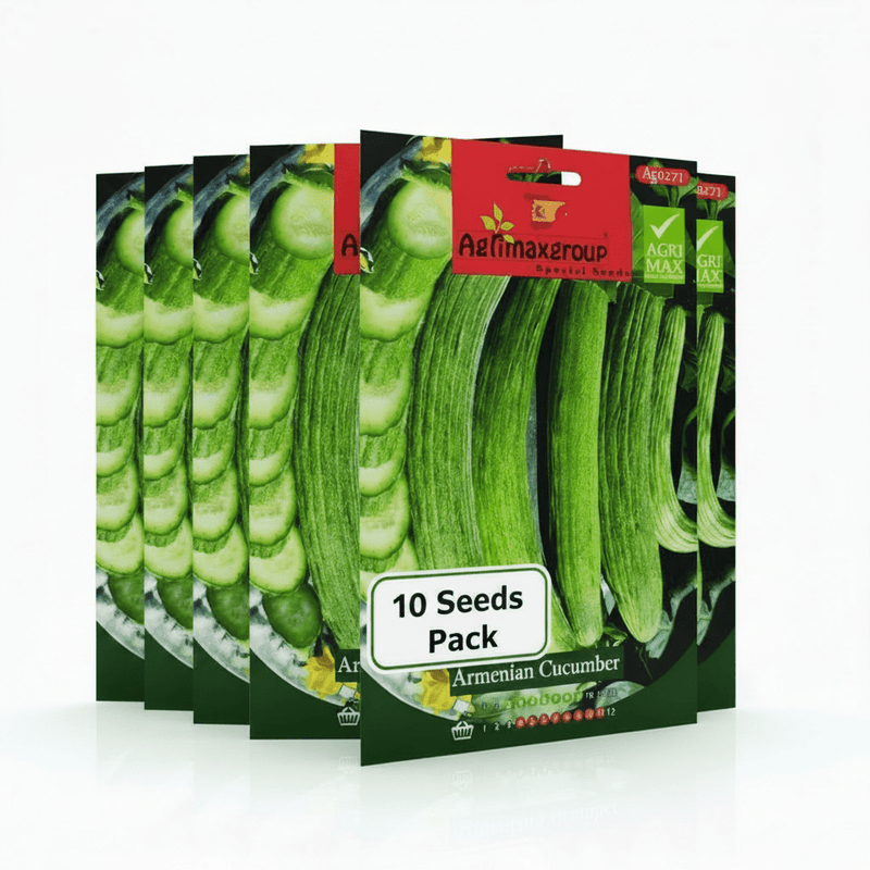 Agrimax Armenian Cucumber Seeds | UAE Garden Essentials! - Greensouq - 