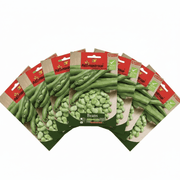 Agrimax Beans Seeds | Dubai Summer Seeds! - Greensouq - 