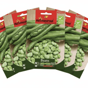 Agrimax Beans Seeds | Dubai Summer Seeds! - Greensouq - 