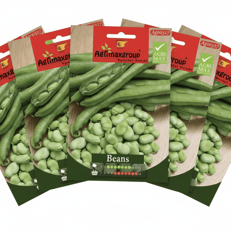 Agrimax Beans Seeds | Dubai Summer Seeds! - Greensouq - 