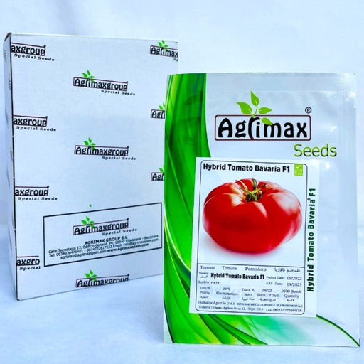 Agrimax Hybrid Tomato Bavaria F1 Premium Quality Seeds (Made in Spain) by Agrimaxgroup® - Greensouq - 