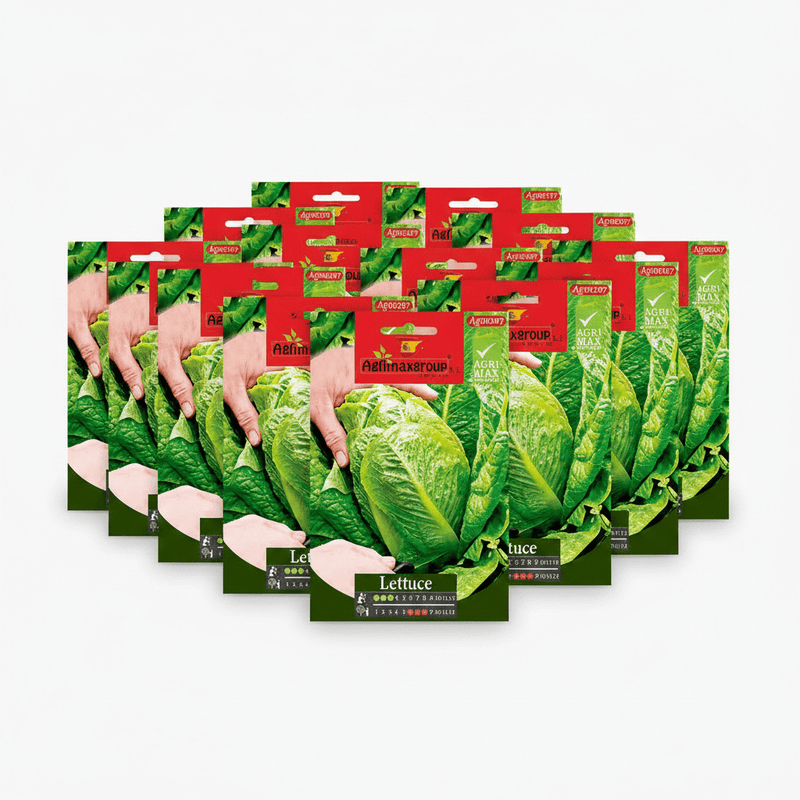 Agrimax Lettuce Seeds | Dubai Garden Supplies! - Greensouq - 