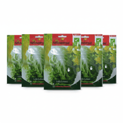 Agrimax Lollo Lettuce Seeds | UAE Garden Supplies! - Greensouq - 
