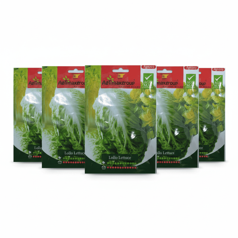 Agrimax Lollo Lettuce Seeds | UAE Garden Supplies! - Greensouq - 