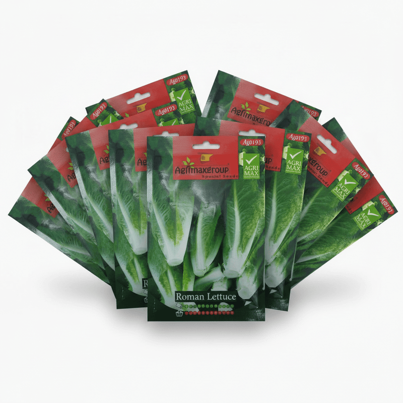 Agrimax Roman Lettuce Seeds | UAE Garden Supplies! - Greensouq - 
