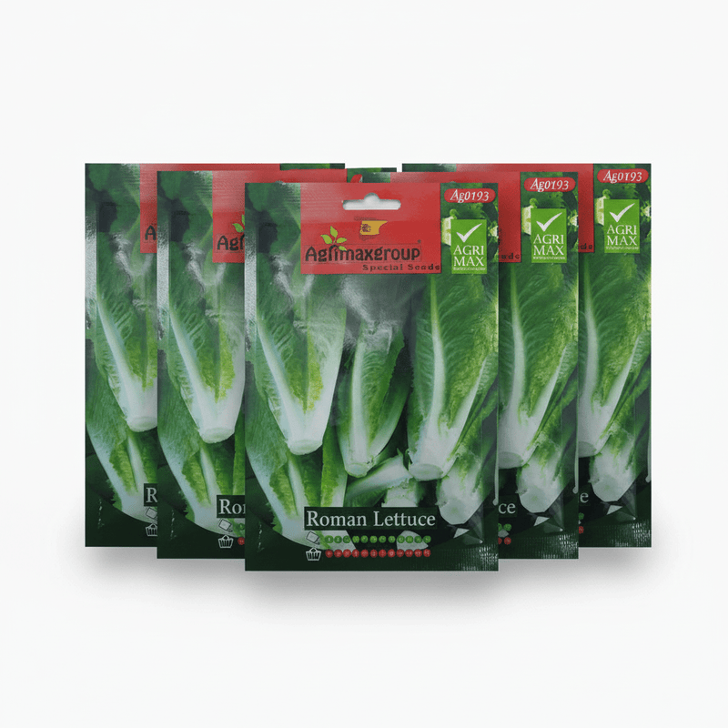 Agrimax Roman Lettuce Seeds | UAE Garden Supplies! - Greensouq - 