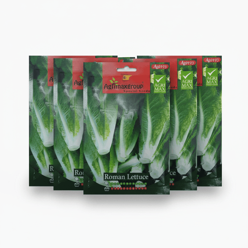 Agrimax Roman Lettuce Seeds | UAE Garden Supplies! - Greensouq - 