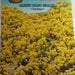Alisso Nano Giallo Seeds by CANESTRO - Greensouq - 