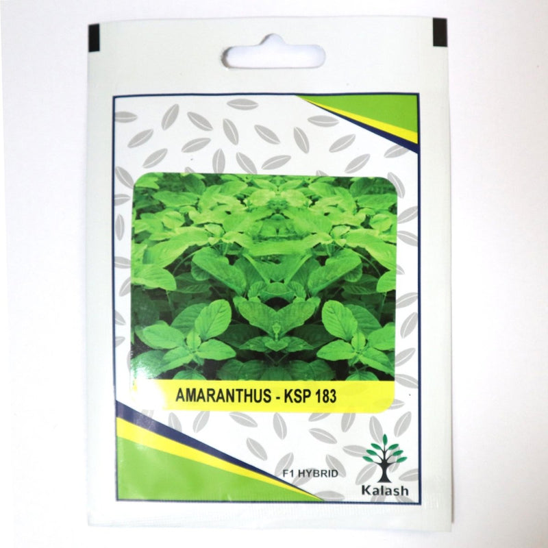 Amranthus KSP 183 F1 Hybrid Premium Quality Seeds - Greensouq - 