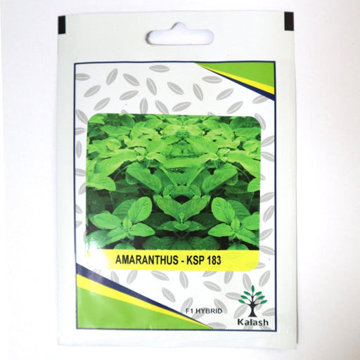 Amranthus KSP 183 F1 Hybrid Premium Quality Seeds - Greensouq - 