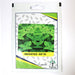 Amranthus KSP 183 F1 Hybrid Premium Quality Seeds - Greensouq - 
