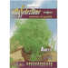 Aneto "Dill" Premium Quality Seeds by Alta Selezione - Greensouq - 