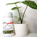 Apache 1.8% EC "Acaricide & Insecticide" - Greensouq - 