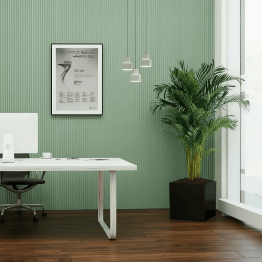 Areca Palm / Chrysalidocarpus Lutescens in Grp Square Pot 40x40 - Greensouq - 