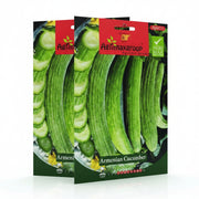 Agrimax Armenian Cucumber seeds - Greensouq -