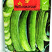 Armenian Cucumber Agrimax seeds - Greensouq - 