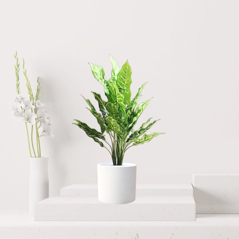 Arrowhead Artificial Plant – 45cm - Greensouq - 