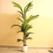 Artificial Areca Palm - Greensouq - 