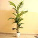 Artificial Areca Palm - Greensouq - 
