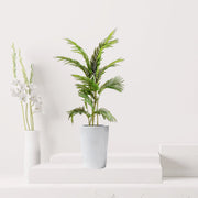Artificial Areca Palm - Greensouq - 