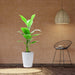 Artificial Banana Tree - Greensouq - 