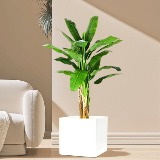 Artificial Banana Tree in Grp Square Pot 40x40 - Greensouq - 