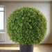 Artificial Buxus Ball Shape (35cm Dia) - Greensouq - 