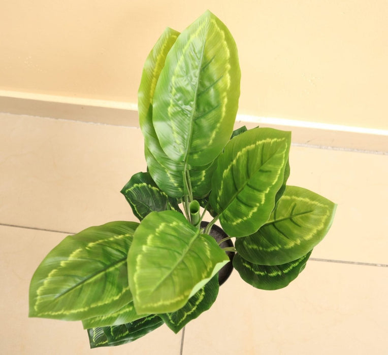Artificial Calathea 50cm - Greensouq - 