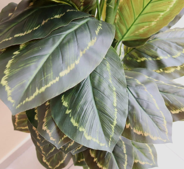 Artificial Calathea Peacock Plant "Zebra Plant" 130cm - Greensouq - 