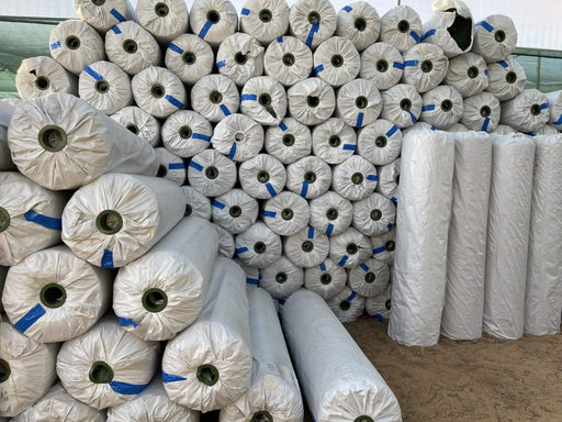 Artificial Carpet Grass - Greensouq - 