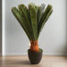 Artificial Cycas 65cm - Greensouq - 