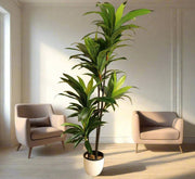 Artificial Dracaena Compacta 150cm - Greensouq - 